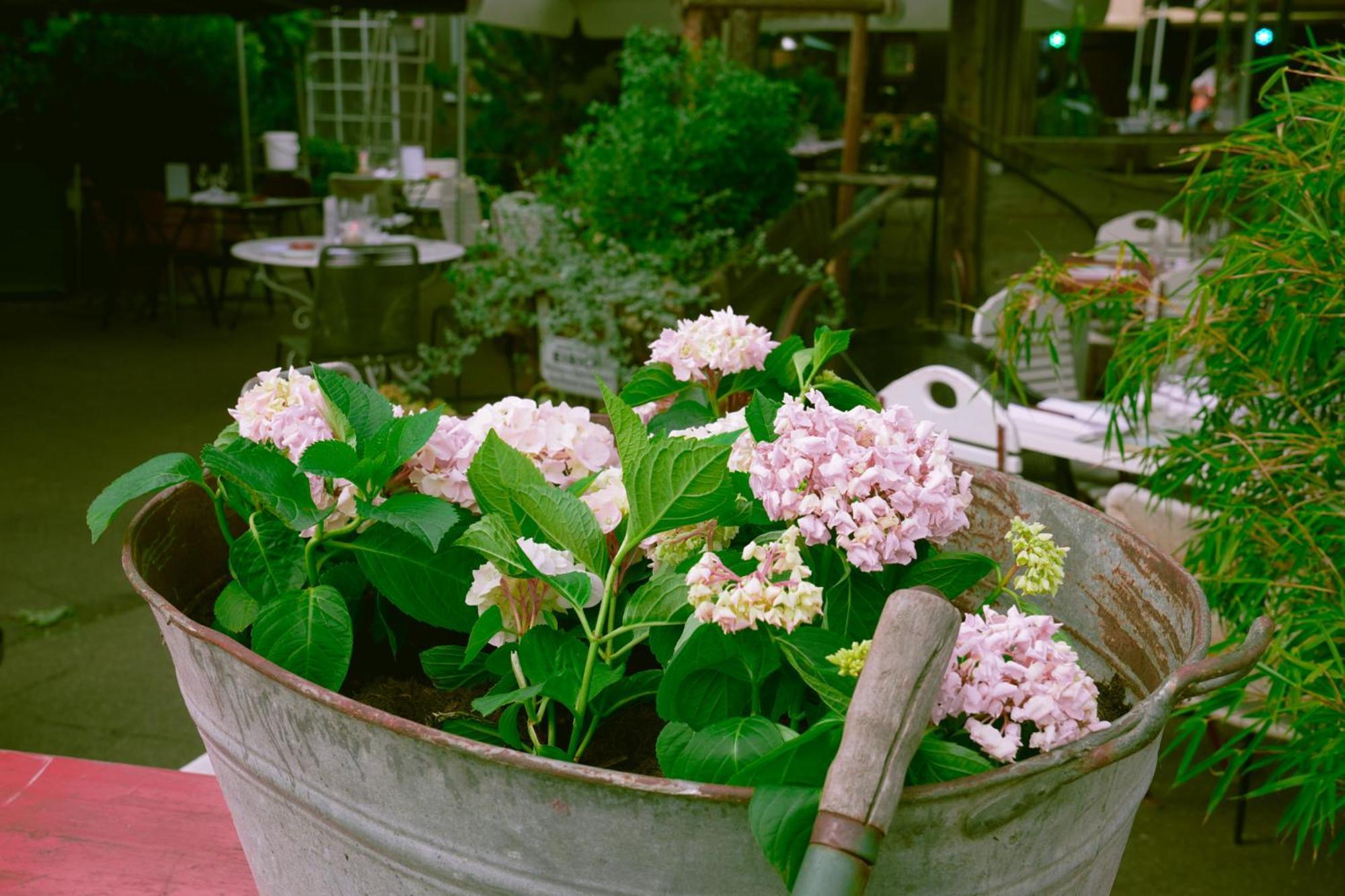 Hafen 17 Hotel Kueche Bar Kehl エクステリア 写真